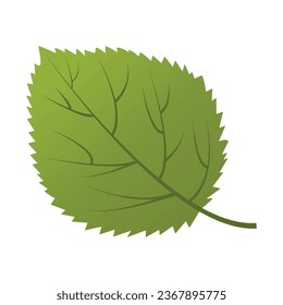 Imagen vectorial brillante de hojas de árbol de otoño. Concepto de otoño y calor. Elementos para su diseño