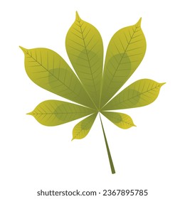 Vector bright image of autumn tree leaves. Autumn and warmth concept. Elements for your design