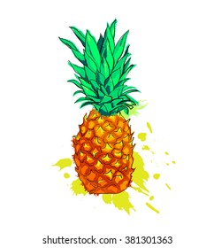 Vector bright print of pineapple.