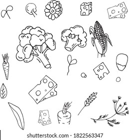 Vector broccoli, cheese, carrot, corn.