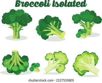 Vector broccoli designs and views from different angles