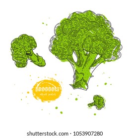 Vector broccoli hand drawn illustration in the style of engraving. Detailed vegetarian food drawing. Farm market product. Grunge illustration for create the menu, recipes, decorating kitchen items