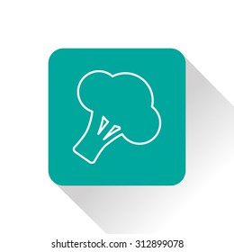 Vector broccoli icon. Food icon. Eps10