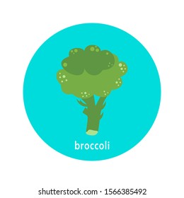 Vector broccoli icon isolated on white background.  Flat blue circle icon with vegetable. Healthy food. 