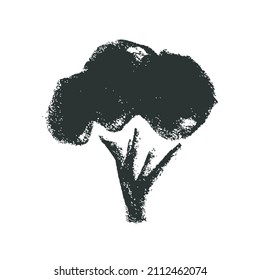 Vector broccoli icon. Pencil hand-drawn texture. Green cabbage flowering illustration isolated. Vegan restaurant logo, vegetarian symbol. Organic food sign. Vegetable badge for farmers market design.