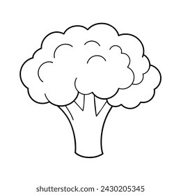 Vector of broccoli illustration coloring page for kids