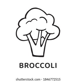 Vector broccoli isolated on white background. Hand-drawn. Flat design. Doodle style.