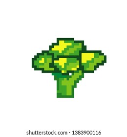 vector broccoli pixel art color