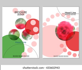 Vector brochure cover templates with blurred roses. 