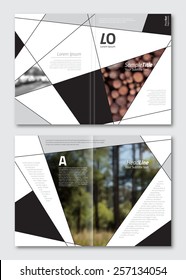 Vector Brochure Design Template. Business Background Layout With Geometric Elements For Magazine, Cover Design. A4 Size.