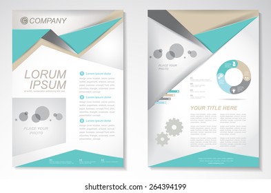 Vector Brochure Flyer design Layout template. infographic