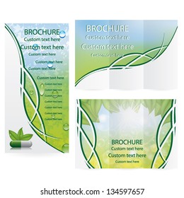 Vector Brochure Layout Design Template green environmental