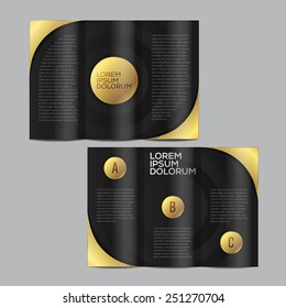 Vector brochure template design