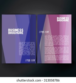Vector brochure template design, A4 size. Professional business flyer template or corporate banner design, can be use for publishing, print and presentation. Colorful pattern.