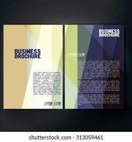 Vector brochure template design, A4 size. Professional business flyer template or corporate banner design, can be use for publishing, print and presentation. Colorful pattern.