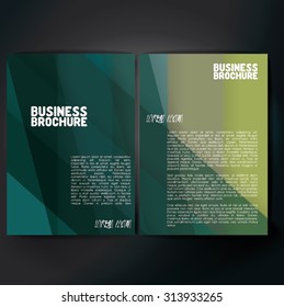 Vector brochure template design, A4 size. Professional business flyer template or corporate banner design, can be use for publishing, print and presentation. Colorful pattern.