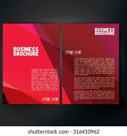 Vector brochure template design, A4 size. Professional business flyer template or corporate banner design, can be use for publishing, print and presentation. Colorful pattern.