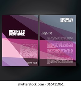 Vector brochure template design, A4 size. Professional business flyer template or corporate banner design, can be use for publishing, print and presentation. Colorful pattern.