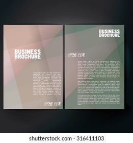 Vector brochure template design, A4 size. Professional business flyer template or corporate banner design, can be use for publishing, print and presentation. Colorful pattern.