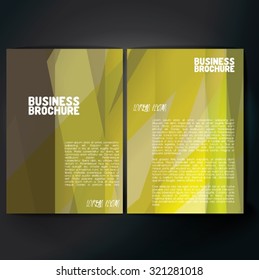 Vector brochure template design, A4 size with colorful polygonal pattern. Professional business flyer template or corporate banner design, can be use for publishing, print and presentation. 