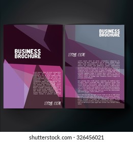 Vector brochure template design, A4 size with colorful polygonal pattern. Professional business flyer template or corporate banner design, can be use for publishing, print and presentation. 