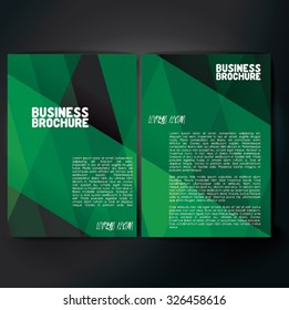 Vector brochure template design, A4 size with colorful polygonal pattern. Professional business flyer template or corporate banner design, can be use for publishing, print and presentation. 