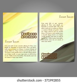Vector brochure template design, A4 size with colorful wavy polygonal pattern. Professional business flyer template or corporate banner design, can be use for publishing, print and presentation.