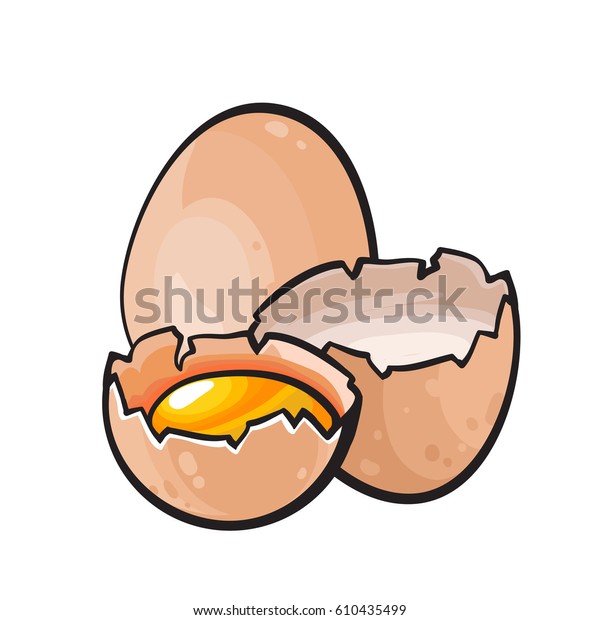 Vector Broken Chicken Egg Isolated On Stock Vector (Royalty Free) 610435499