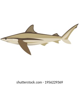 Ilustración del tiburón ballena vectorial de bronce aislado en blanco