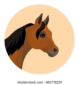 Vector brown arabian horse head portrait round icon 