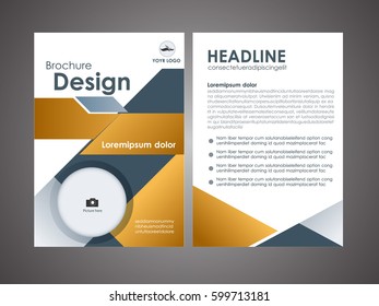 Vector Brown Brochure Flyer design Layout template