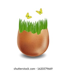 Vector brown broken eggs on white background