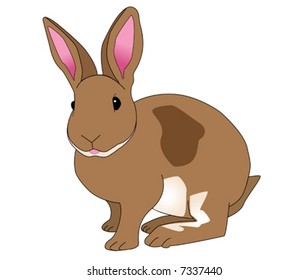 Vector of brown bunny