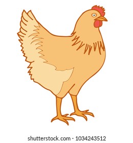 vector brown chicken isolated