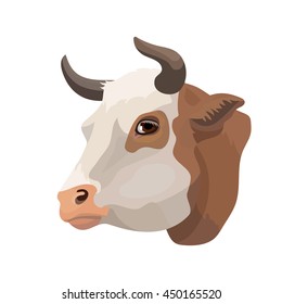 Vector brown cow with white spot