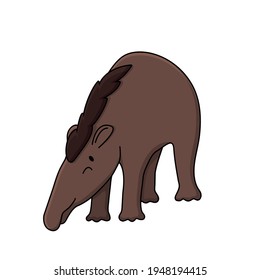 Vector brown cute outline doodle cartoon young funny tapirus pinchaque wild South American  mountain tapir. Isolated illustration on white background, front side view, eyes are closed, bent down