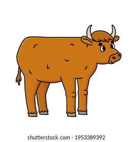 Vector brown doodle outline domestic male cow or bull, ox. Cute cartoon farm animal isolated on white background, side or profile view