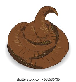 Vector Brown Excrement Isolated on White Background.