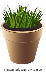 Vector brown flowerpot with grown grass
