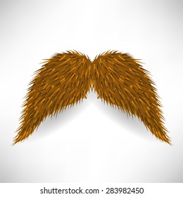 Vector Brown Hairy Mustache Isolated on Grey Background 