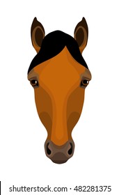 Vector brown horse face