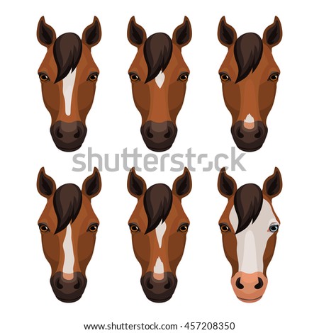Vector brown horse facial marking variation table