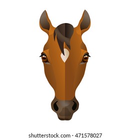 Vector brown horse head with small white spot domestic animal icon
