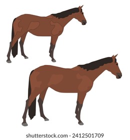 Vector brown horse stands isolated on white background