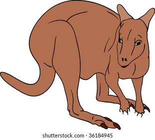 vector - brown kangaroo isolated on background
