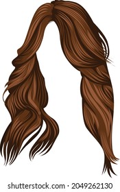 estilo de cabello largo marrón vectorial