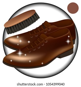 Vector. Brown. Men's shoes classic brown shoes. Brush for cleaning shoes . Care, give a Shoe Shine tools, skin cream . Mesh, realistic illustration