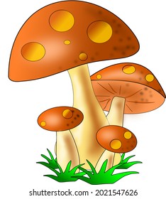 Vector of  brown  mushrooms on transparent background for media illustration or editing.