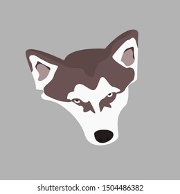 vector brown siberian husky face in isolated on grey background