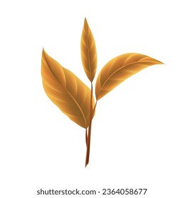 Vector brown tea leaves vector realistic isolated on whites illustration